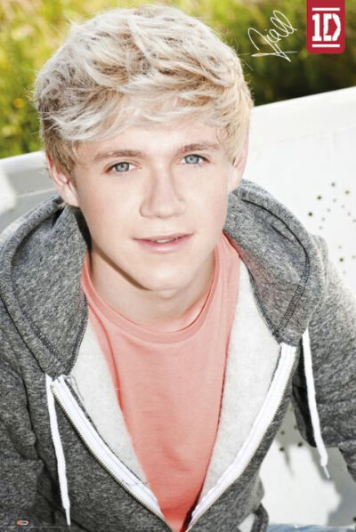 One Direction Niall Horan 昵称：奶儿、萌奶、Nialler