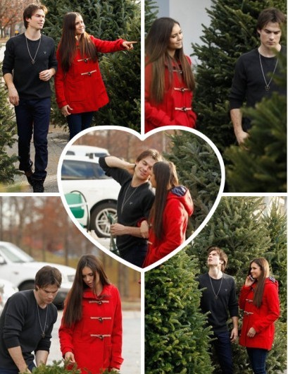 妮娜和LAN一起选购圣诞树