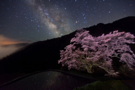 绚烂的星空，静谧的乡村夜。摄影师MASAHIRO MIYASAKA（宮坂雅博）拍摄于日本长野县