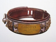 French dog collar