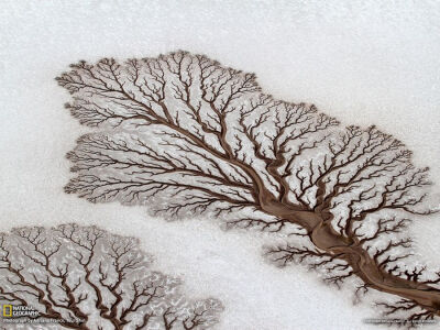 墨西哥下加利福尼亚州的沙漠，河流形成不可思议的树形图案。咖啡白巧克力味吗？