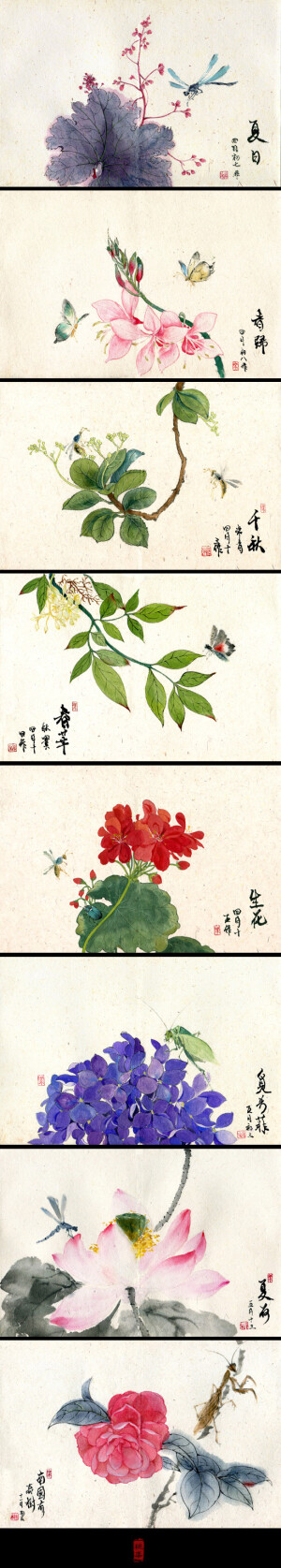 默认专辑