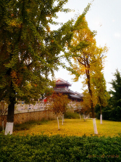 旅游是指从自己活腻的地方去别人活腻的地方、、、PS嘉兴月河