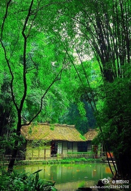 吴永生 《稻草屋～～西窗丝语（5）》 - 一 建构 稻草是微不足道的物质，但它发挥的重大作用却不容忽视，首先是它结出稻谷，俾使人类和其它的动物无饥馁之虑；其次.