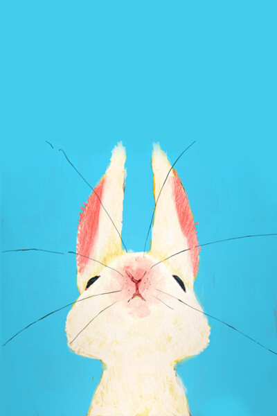[背景]兔子