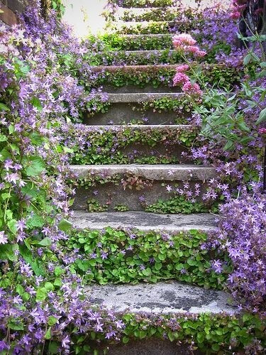 garden steps