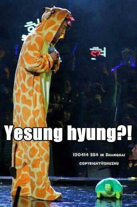 yesung。。。。。。。