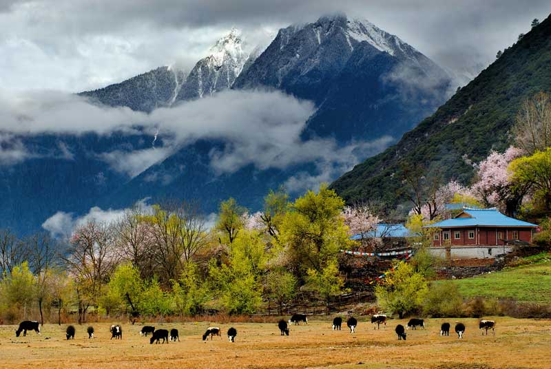 世外桃源波密 #4