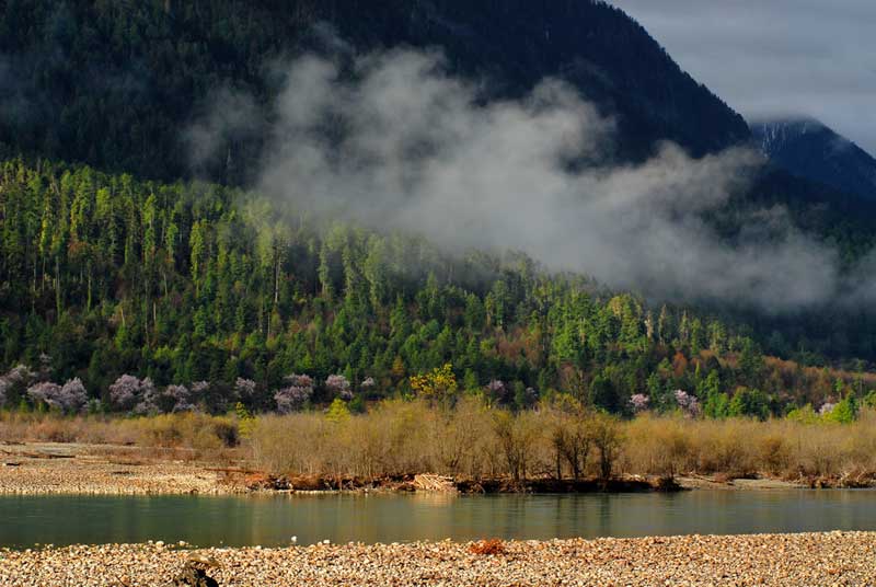 世外桃源波密 #8