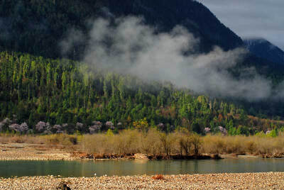 世外桃源波密 #8