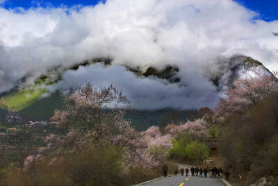 世外桃源波密 #9