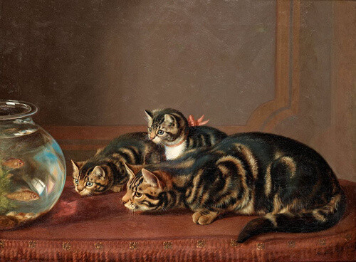 Horatio Henry Couldery - Cats by a fishbowl via: @瞎扯吧2货