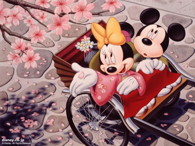 micky and minnie ~