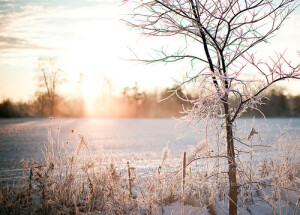 经历了上千年历史的冲刷，流水依旧，碧幽生色。河流两侧的房子，古朴至极，黛瓦青砖，窗棂镂空，屋檐下垂落的一串串红灯笼，在风中绰约，像极撑着油纸伞走进小巷的江南女子发间的流苏，美得空灵而不经雕琢。   ——《十年一品温如言》