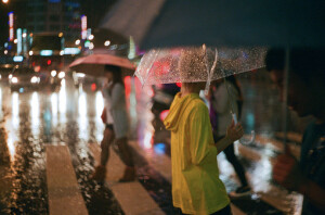 眼前这善良的男女再疼温衡，终究不是亲生父母。 这房屋，这土地，再温暖，终究不是她的归属。  ——《十年一品温如言》