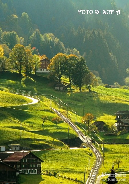 如果去瑞士，要去这个小村庄啊