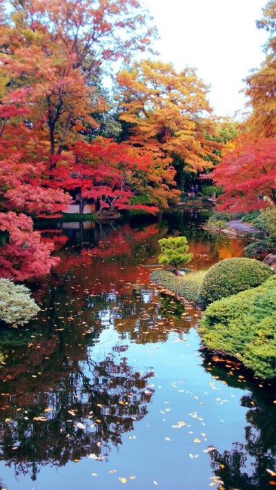 autumn in japan