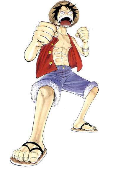 luffy ~