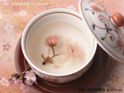 盐渍樱花茶