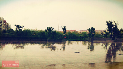 雨中