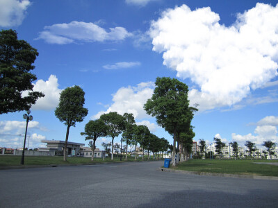 夏日里的校园