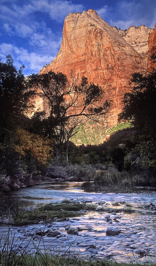 Zion National Park View