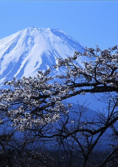 mt fujiyama looms Japan