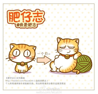 【我是肥志】#家有贱猫#还记得发给大家看的那只自来小奶猫“水煮鱼”么，这家伙在家里被其他四个爸爸各种溺爱，现在在家里肆无忌惮，好吃好喝，每天以咬我的鞋子为乐。。。已经变成一只贱猫了。。