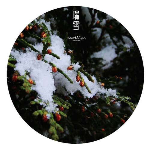 雪花纷至，祥瑞之兆