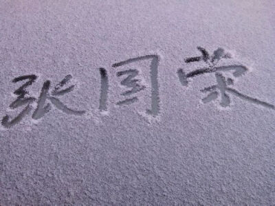 雪地