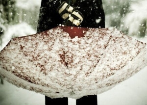 这个女孩，依旧美丽高雅，但却不再温柔胆怯，娇嫩荏苒。   ——《十年一品温如言》