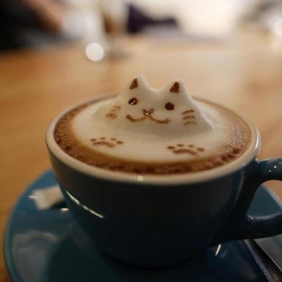 猫猫coffee~~~~~~