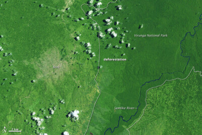 美国宇航局Landsat 5卫星拍摄的，拍摄时间分别是1999年2月13日(上)和2008年9月1日(下)。在照片中，刚果Beni市呈现为棕褐色和灰色，维龙加国家公园呈现为深绿色。在维龙加国家公园东北部，蓝色的Semlike河蜿蜒而过。…