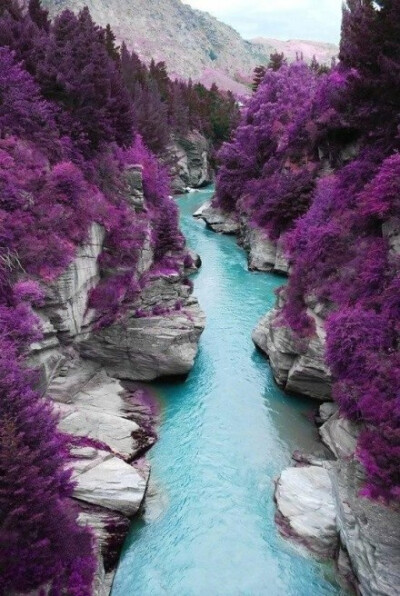 【欧洲篇】紫色幻境~苏格兰斯凯岛。