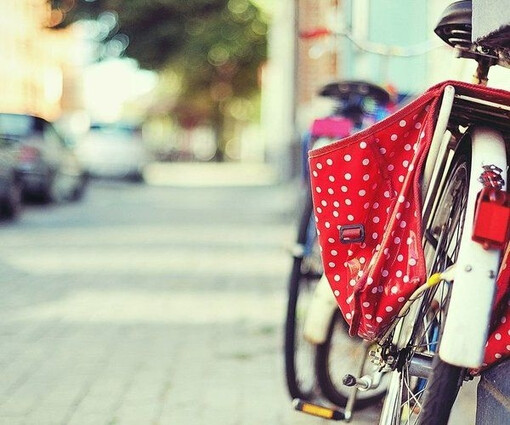 I long for a journey of time with you on bicycle,moving forward without ceasing.So lovely. 想和你一起踩着单车去经历一趟时光旅行，就这样一直前行， 想和你一起踩着单车去经历一趟时光旅行，就这样一直前行，一直美好。