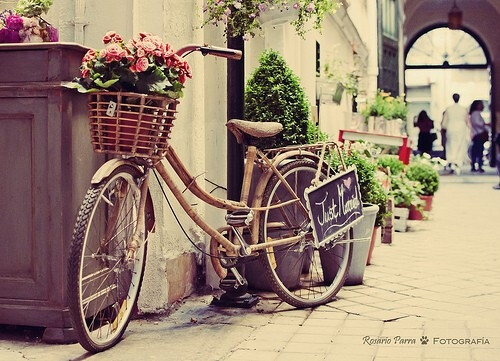 I long for a journey of time with you on bicycle,moving forward without ceasing.So lovely. 想和你一起踩着单车去经历一趟时光旅行，就这样一直前行， 想和你一起踩着单车去经历一趟时光旅行，就这样一直前行，一直美好。