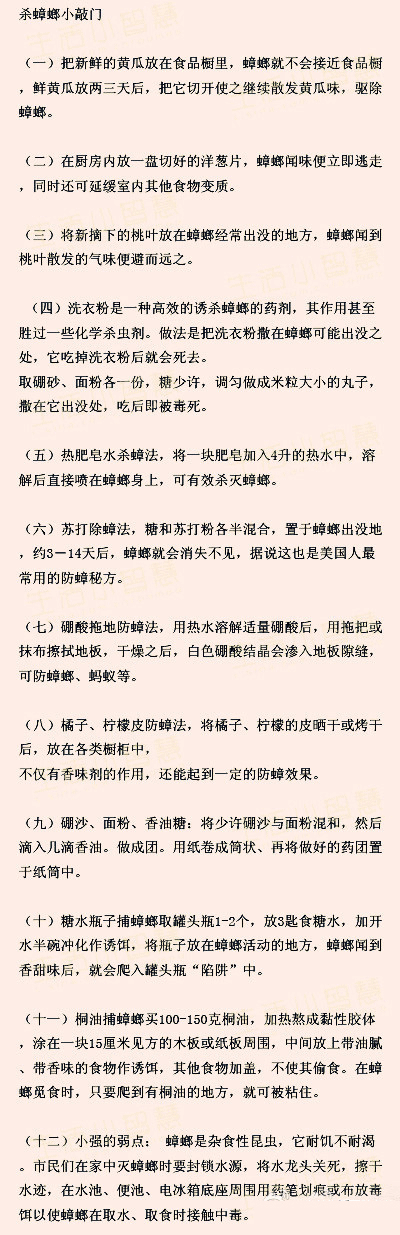 灭蟑螂的绝招