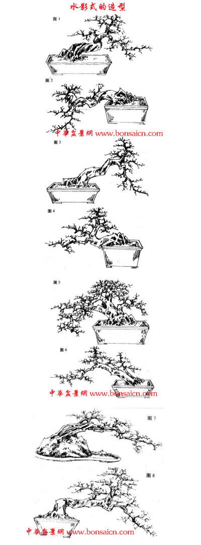 (岭南)水影式盆景的造型