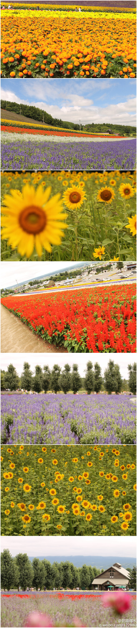 花田喜事【北海道.富良野】