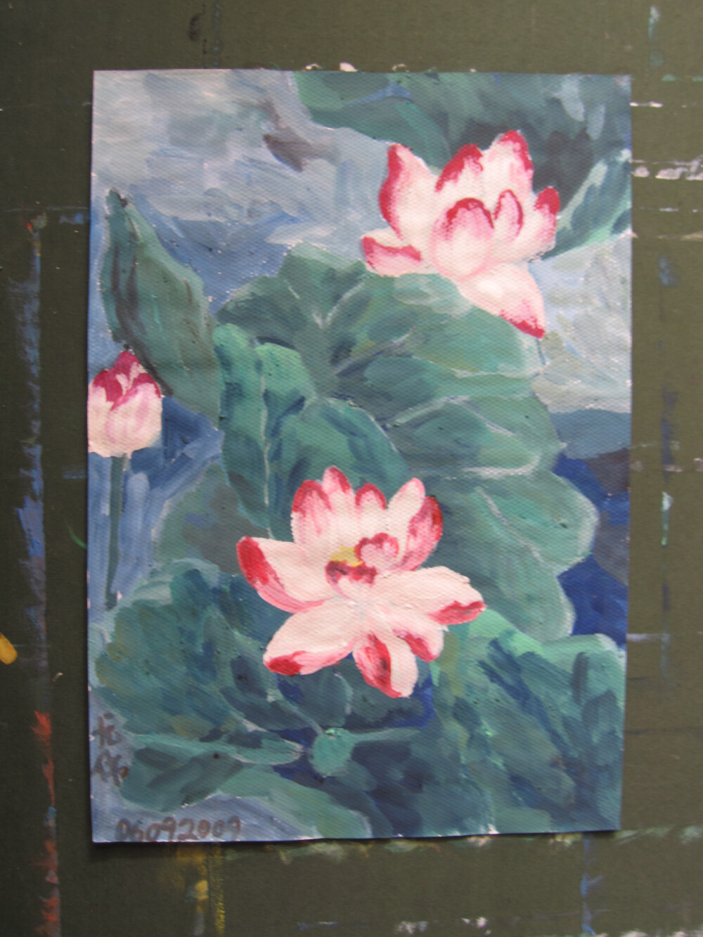 荷花，春天的期待，青岛