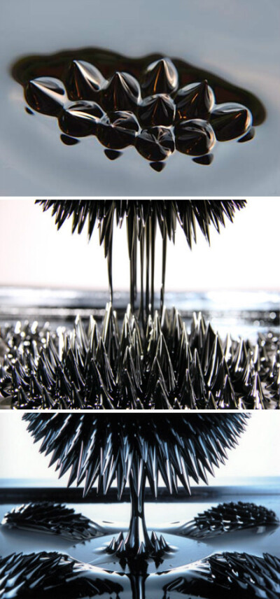 10年前，在中央美院日本新媒体展上第一次看到児玉幸子的作品Morpho tower，利用磁力粉末改变液体的状态，液态通过磁力的控制呈现复杂、具有生命力的不同形态，可以说我对新媒体的认识就是通过这个作品,