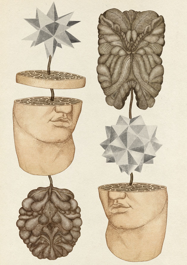 Faces of the Divine, fantasy anatomical illustration by Katie Scott