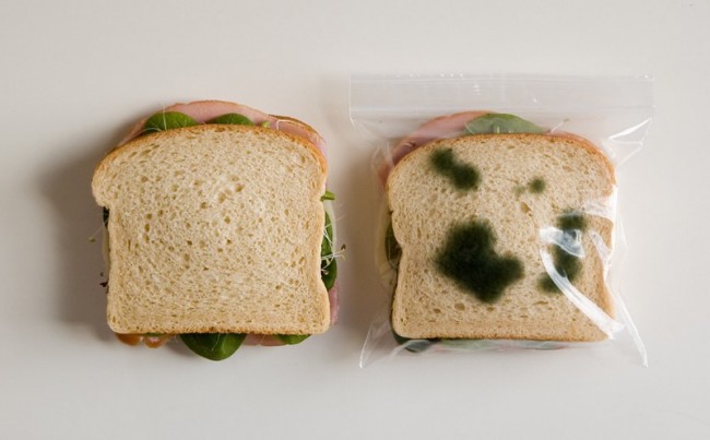 这是由the.设计工作室所带来的一款有趣的防盗午餐袋（Anti-Theft Lunch Bags），设计师在拉链袋的两侧分别印有绿色的斑点，使得放在里面的新鲜食物看起来已经变质 。现在 ，你再也不用担心自己的午餐被同事染指、或儿女们的三明治被校园恶霸强夺了；但是，让我们也同时祈祷没有好心的好心人帮助你将这些“变质的食物”扔掉…