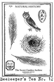 Owl Stamp