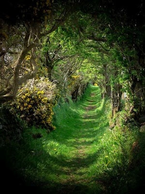 Ballynoe, Ireland.