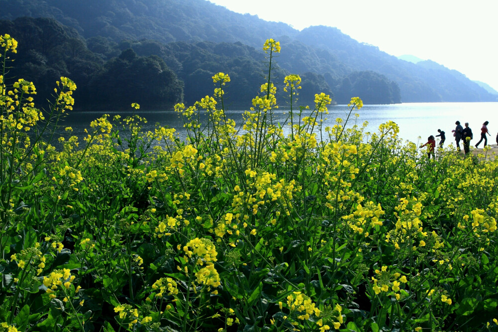 从化.石门