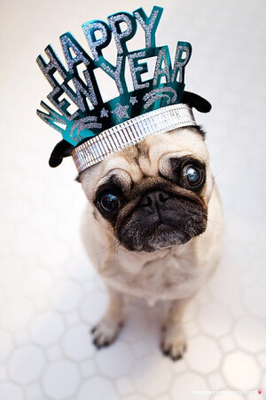 我苦苦滴祝大家新年快乐~