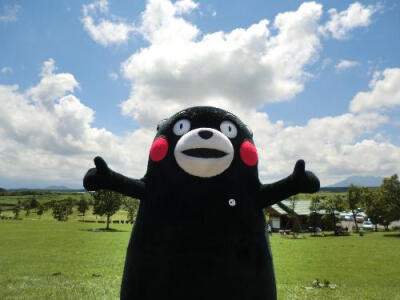 可爱的kumamon