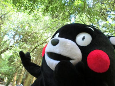 kumamonkumamonkumamon