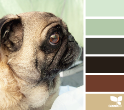 pug palette